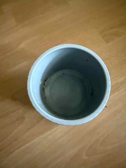 Photo of free Plant pot (West Felton SY11) #2