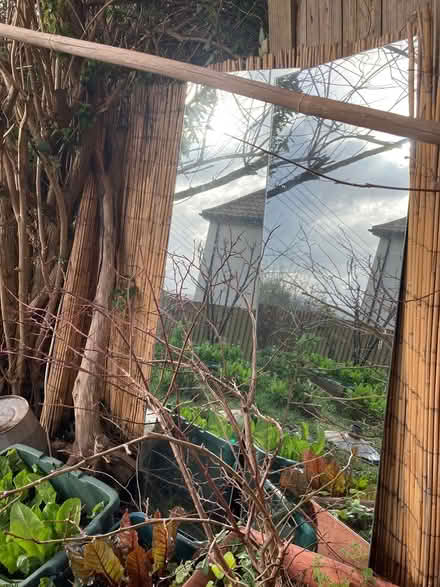 Photo of free 2x tall Mirrors (Glastonbury BA6) #2