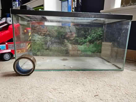 Photo of free Small vivarium (East Kilbride G74) #2