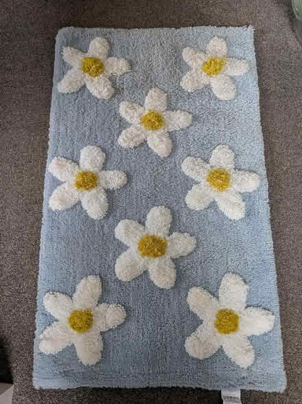 Photo of free Bathroom mat (Gosport PO12) #1