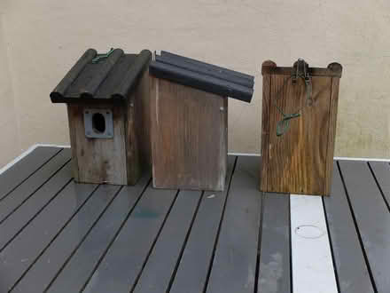 Photo of free Three Vivara Timber Bird Boxes (WV3 Chapel Ash) #2