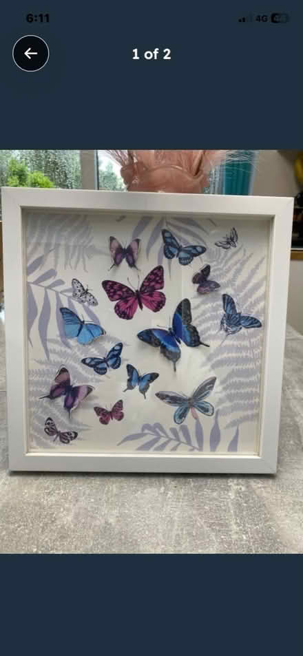 Photo of free Butterfly glitter picture (B93 Bentley Heath) #1