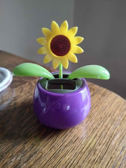 Photo of free Solar flower (Odenton) #1