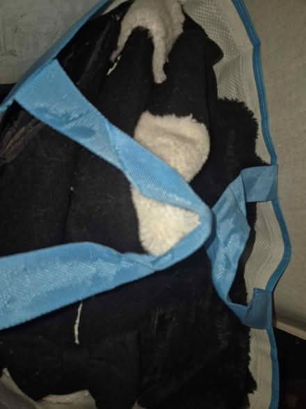 Photo of free Clothing (Hollinswood TF3) #1