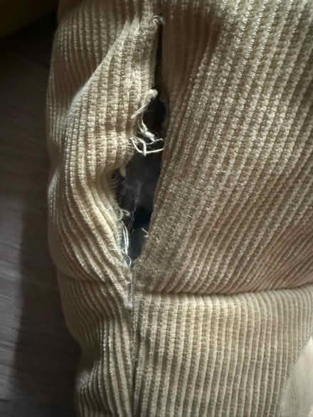 Photo of free Bershka Jacket (West Felton SY11) #3