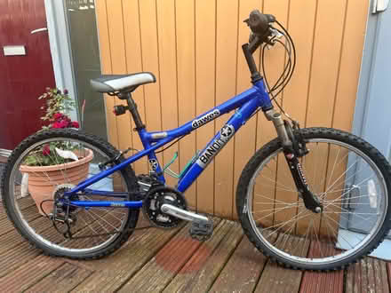 Photo of free Child/women blue bike (Tottenham N17) #4