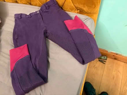 Photo of free Harry Hall purple breeches size 12 (Stanley DE7) #2