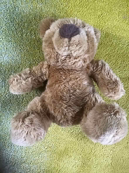 Photo of free Teddy 1 (Wescott RG40) #3