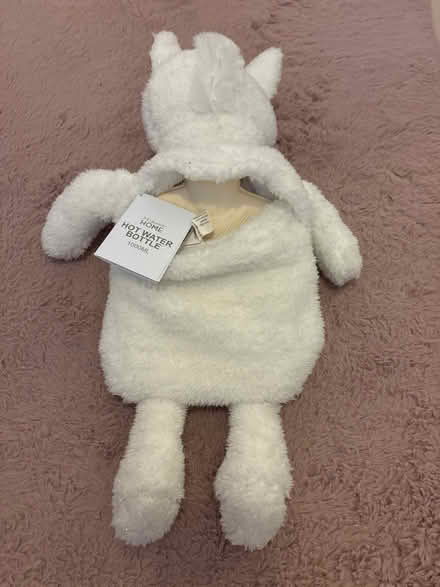 Photo of free Unicorn hot water bottle (Kings Hill ME19) #2