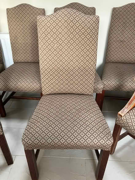 Photo of free 6 Dining Chairs (Ledbury HR8) #1