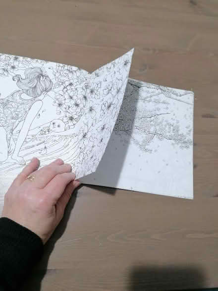 Photo of free Small adult colouring book (Langney BN23) #2