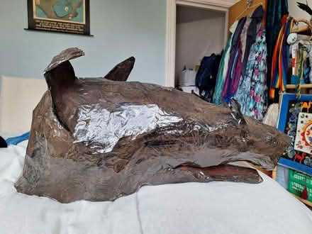 Photo of free Paper mache boar's head (Nether Edge Sheffield S7) #2
