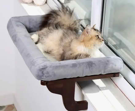 Photo of free Cat perch for windowsill (Calderon and Mercy) #1