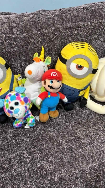Photo of free Stuffies (Columbia) #3