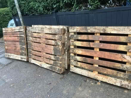 Photo of free Pallets x4 (AL4) #1