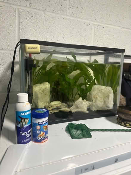 Photo of free Tropical fish and tank 30 L (Muxton TF2) #1