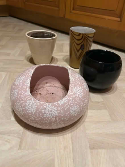 Photo of free Plant pots/vase (Funtley PO17) #1