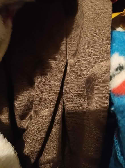 Photo of free Brown curtains (Digmoor WN8) #1