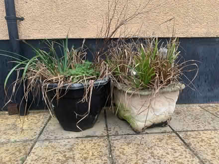 Photo of free Large outdoor plant pots (BS11) #1