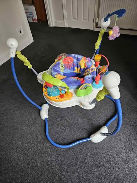 Photo of free Baby bouncer (Harlow CM19) #1