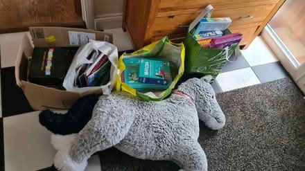 Photo of free Bundle of toys (Downley) #1