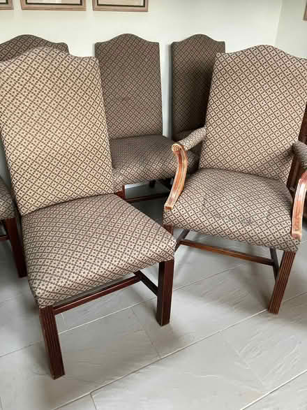 Photo of free 6 upholstered dining room chairs (Ledbury HR8) #4