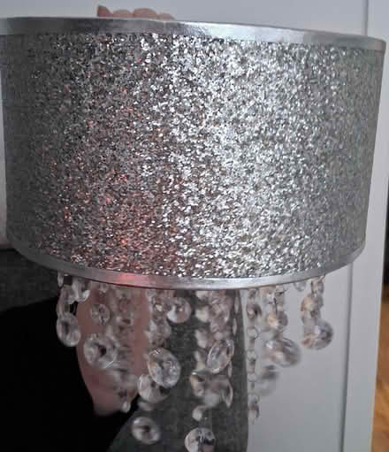 Photo of free Lampshades (Garston L19) #2
