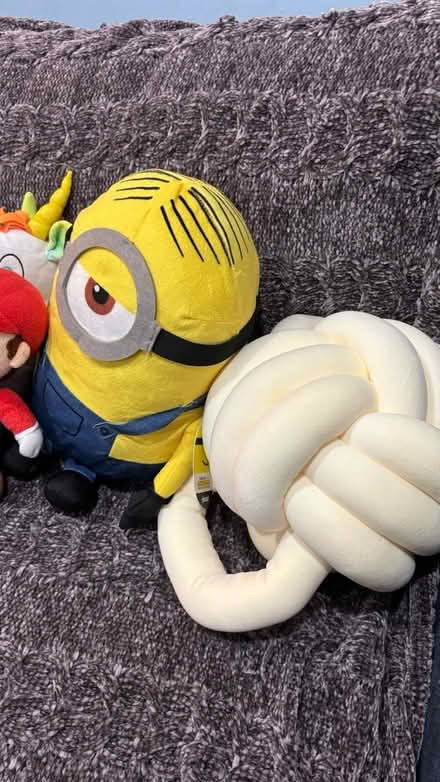 Photo of free Stuffies (Columbia) #4