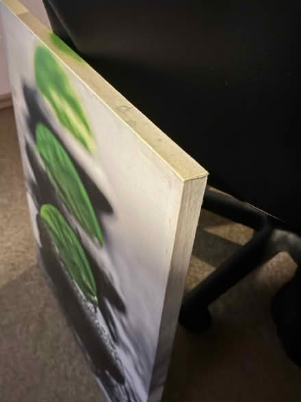 Photo of free Canvas picture 23”x19.5” (Beckenham BR3) #1