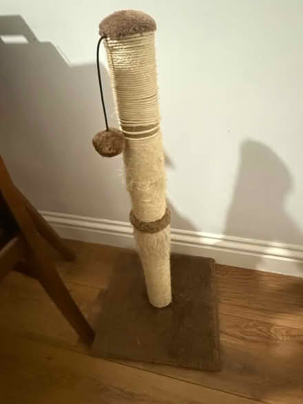 Photo of free Cat items (SE16 Rotherhithe) #2