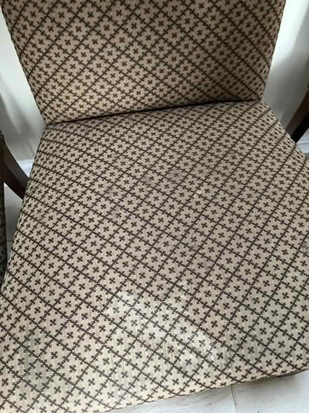 Photo of free 6 upholstered dining room chairs (Ledbury HR8) #2