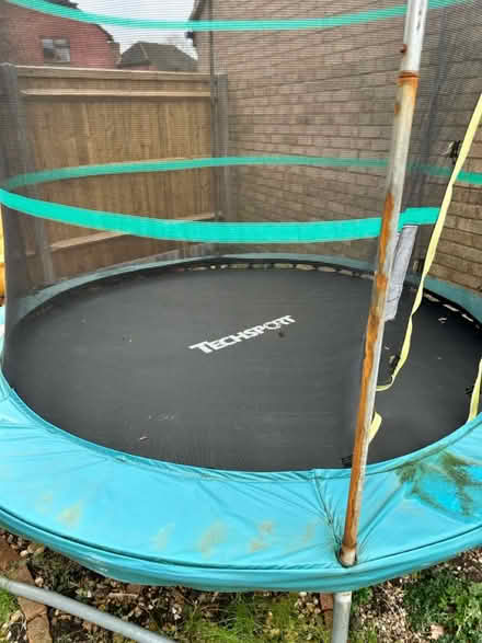 Photo of free Trampoline (Fareham PO14) #2