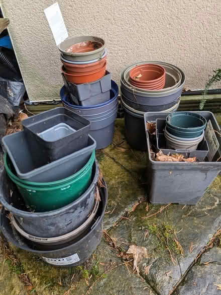 Photo of free A bundle of plastic pots, planters (L24) #1