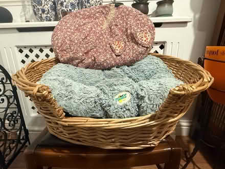 Photo of free Cat items (SE16 Rotherhithe) #3