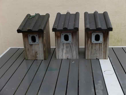 Photo of free Three Vivara Timber Bird Boxes (WV3 Chapel Ash) #1