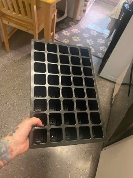 Photo of free Seeding trays (69th Ave btw 60th Ln & 60th st) #1