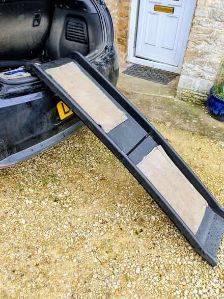 Photo of free Dog ramp (Brize Norton OX18) #2
