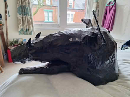 Photo of free Paper mache boar's head (Nether Edge Sheffield S7) #1