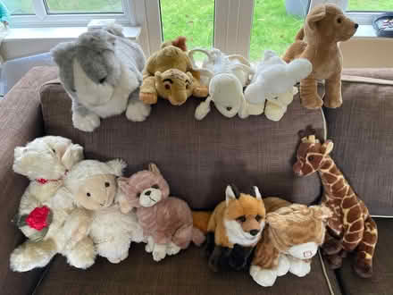 Photo of free Collection of soft toys (DA4) #1