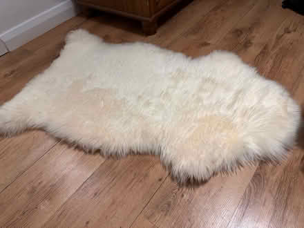Photo of free Sheepskin (NW71jE) #1