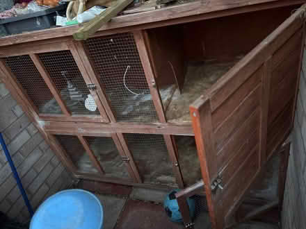 Photo of free Guinea pig hutch (Hereford HR4) #2