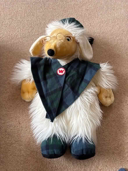 Photo of free Womble hot water bottle (Wallingford) #1