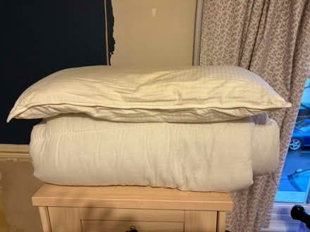 Photo of free Duvet (single) and pillow (Hemel Hempstead HP1) #1