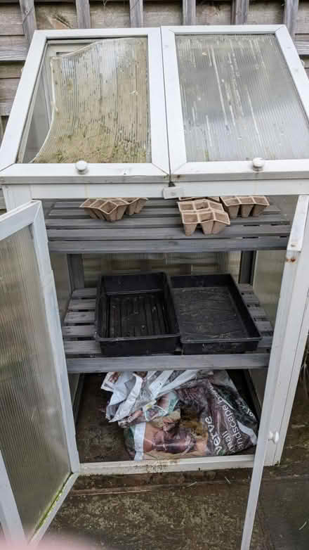 Photo of free Seedling Germination thing (Shrewsbury, Castlefields) #2