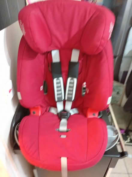 Photo of free Red brittax (Tudeley) #1