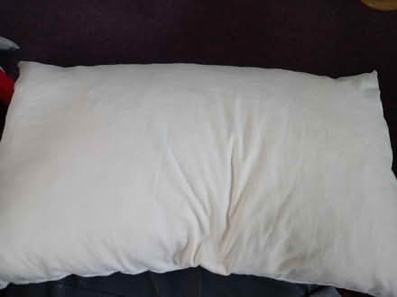 Photo of free Goose Feather Pillow (Collyhurst M40) #2