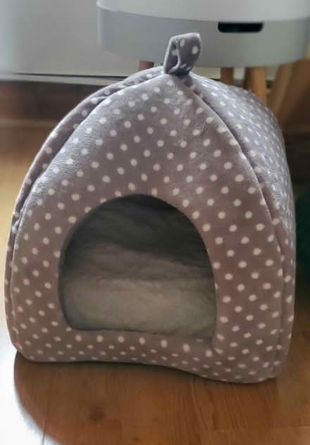 Photo of free Cat igloo bed (Kentish Town West NW5) #2