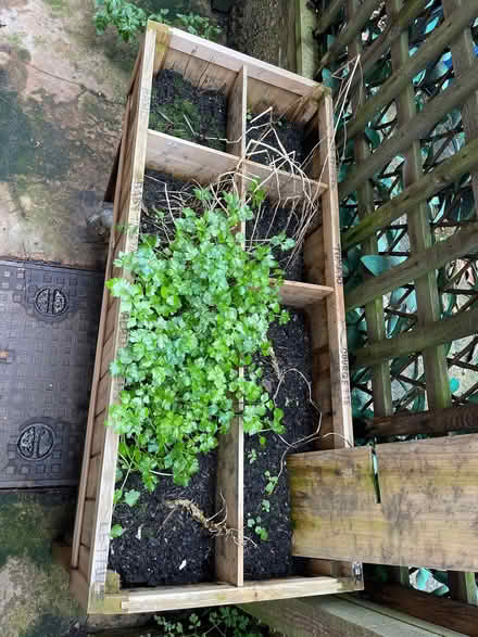 Photo of free Gardening box (Fulham SW6) #2