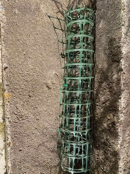 Photo of free Mesh (S11 Bents Green) #1
