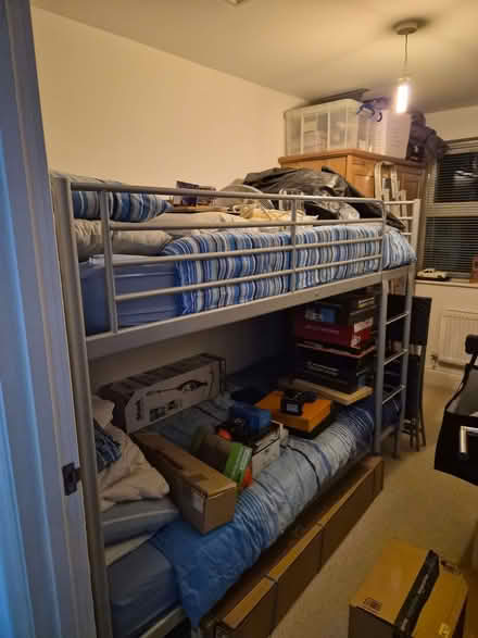 Photo of free Bunk bed (Benfleet SS7) #1
